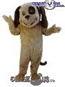 Spot - T0090