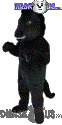 Stallion - T0169