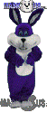 Super Purple - T0242