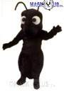 Black Ant
