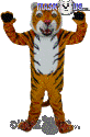 Tiger - T0003