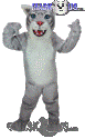 Wildcat cub - T0017