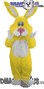 Yellow Cottontail -T0258