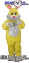 Yellow Hopsy - T0254