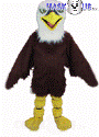 American Eagle (22041)