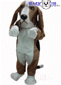 Basset Hound