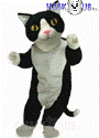 Black & White Cat