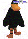 Black Duck