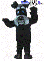 Black Terrier