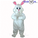 Bunny Rabbit