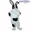 Checkered Rabbit