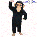 Chimp