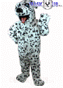Dalmatian