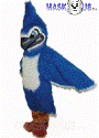Fierce Blue Jay