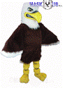 Fierce Eagle