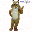 Friendly Bobcat