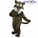 Friendly Jaguar