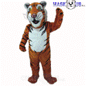 Funny Tiger