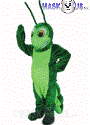 Grasshopper