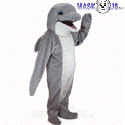 Grey Dolphin