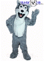 Grey Husky