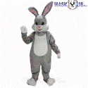 Grey Rabbit
