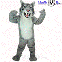 Grey Wildcat