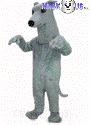 Greyhound