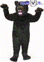 Grizzly Bear