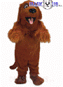 Irish Setter
