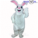 Jack Rabbit