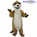 Meerkat