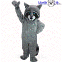 Racoon