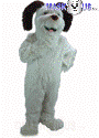 Shaggy Dog