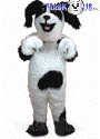 Sheepdog