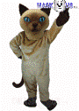 Siamese Cat