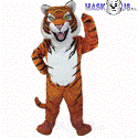 Siberian Tiger