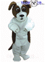 St. Bernard