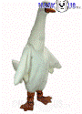 Swan