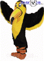 Toucan
