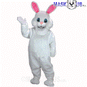 White Rabbit