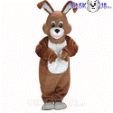 Wild Rabbit