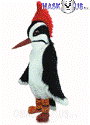 Woodpecker