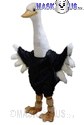 Ostrich