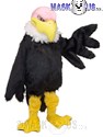Vulture