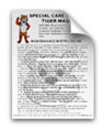 Special Tiger Care