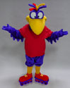 Kooky A. Bird