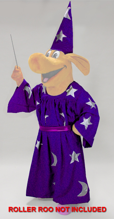 Wizard Costume