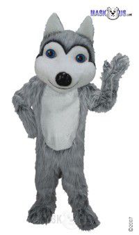 Friendly Husky Mascot Costume T0078