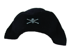 Pirate Hat